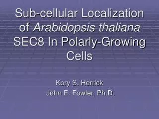 Sub-cellular Localization of Arabidopsis thaliana SEC8 In Polarly-Growing Cells