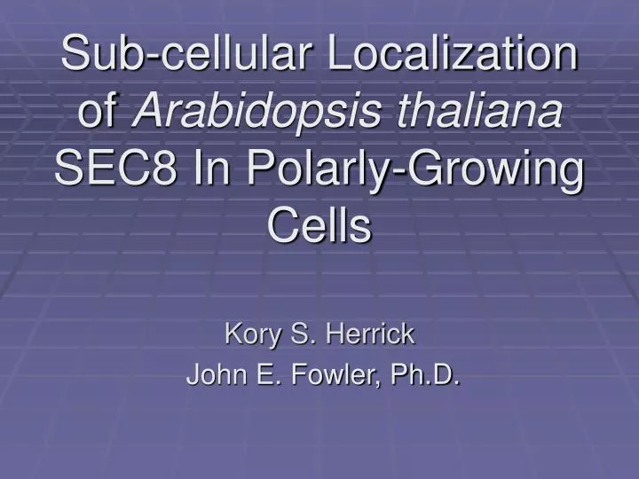 sub cellular localization of arabidopsis thaliana sec8 in polarly growing cells