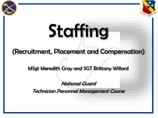 Staffing (Recruitment, Placement and Compensation)