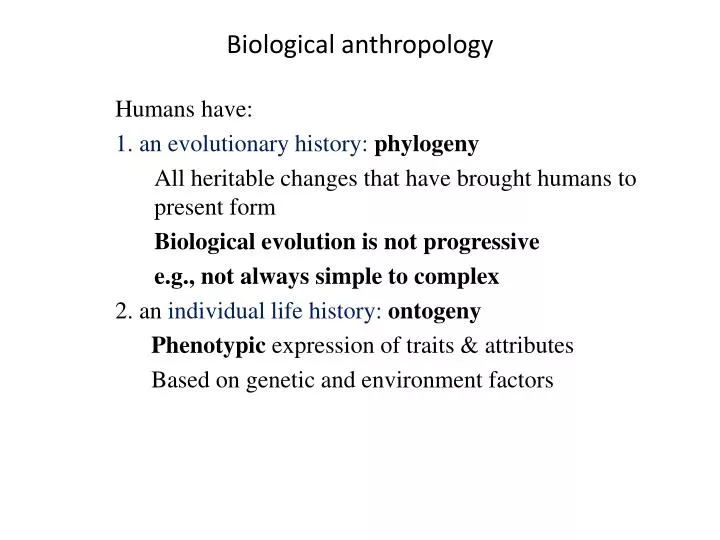 biological anthropology