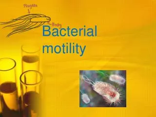 Bacterial motility
