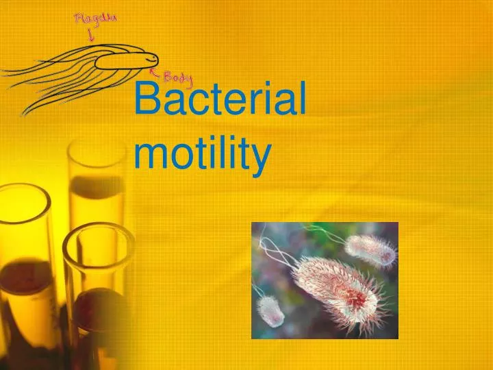 bacterial motility