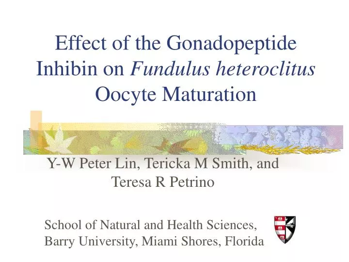 effect of the gonadopeptide inhibin on fundulus heteroclitus oocyte maturation