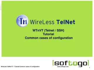 WTnVT (Telnet / SSH) Tutorial Common cases of configuration