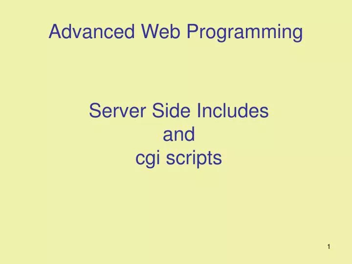 server side includes and cgi scripts