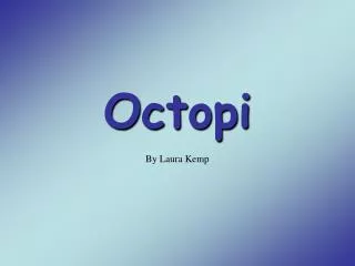 Octopi