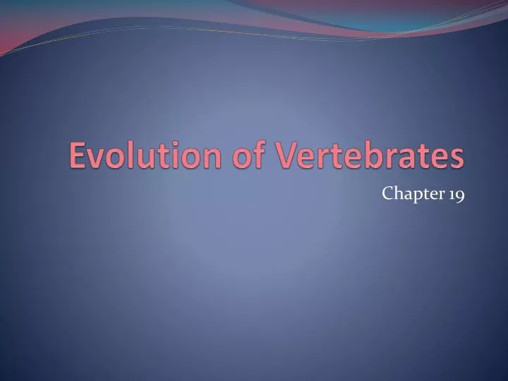 evolution of vertebrates