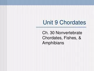 Unit 9 Chordates