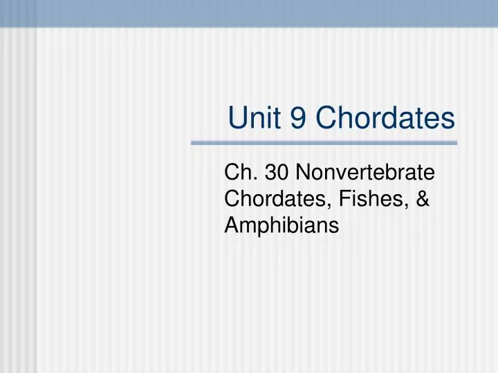 unit 9 chordates