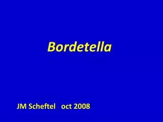 bordetella