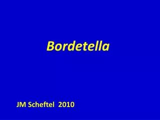 bordetella