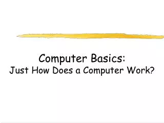 Computer Basics: Just How Does a Computer Work?