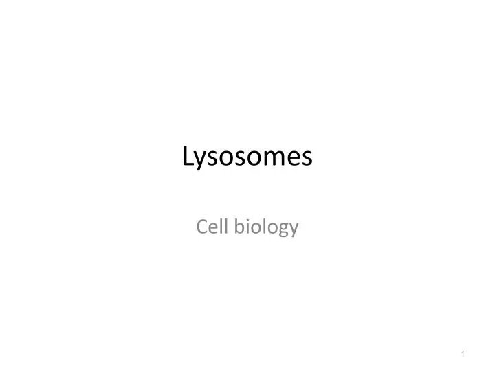 lysosomes