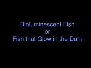 Bioluminescent Fish or Fish that Glow in the Dark