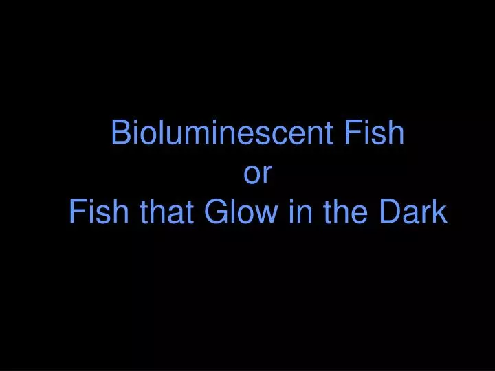 bioluminescent fish or fish that glow in the dark