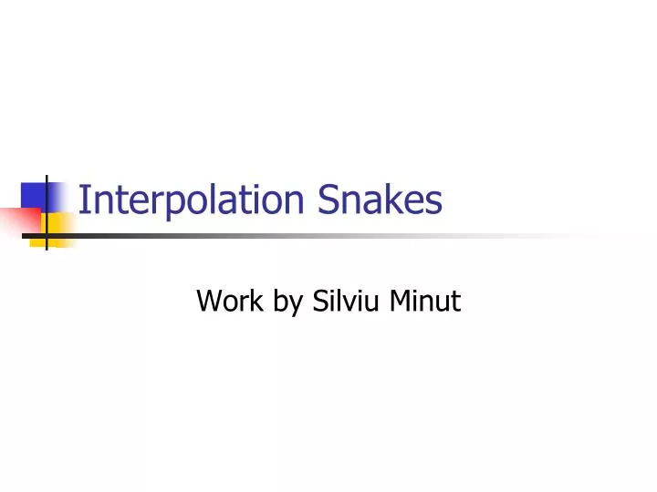interpolation snakes
