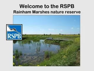 Welcome to the RSPB Rainham Marshes nature reserve