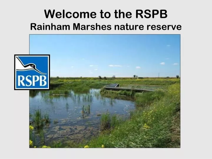 welcome to the rspb rainham marshes nature reserve
