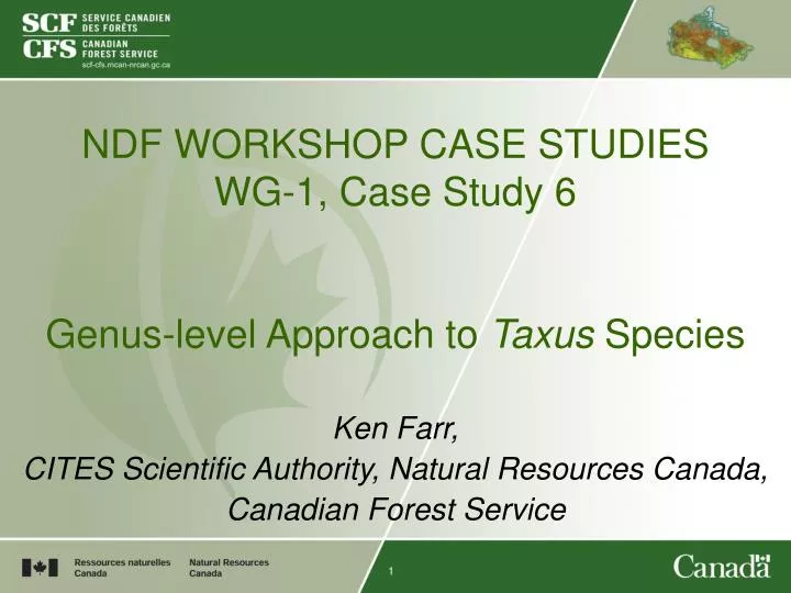 ndf workshop case studies wg 1 case study 6 genus level approach to taxus species