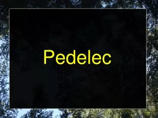 Pedelec