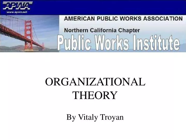 organizational theory by vitaly troyan