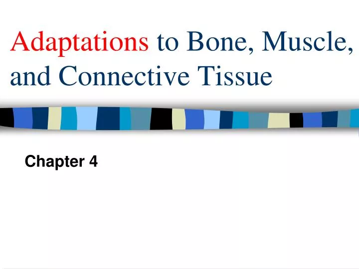 adaptations to bone muscle and connective tissue