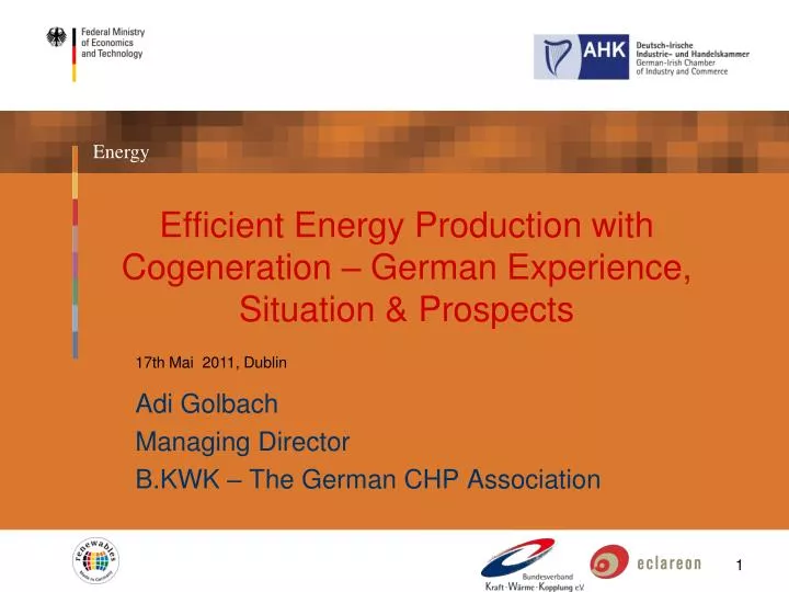 adi golbach managing director b kwk the german chp association