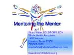 Mentoring the Mentor - slide 1