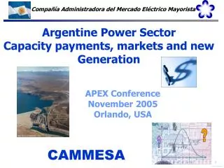 Argentine Power Sector Capacity payments, markets and new Generation