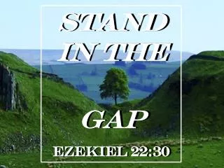 STAND IN THE GAP EZEKIEL 22:30