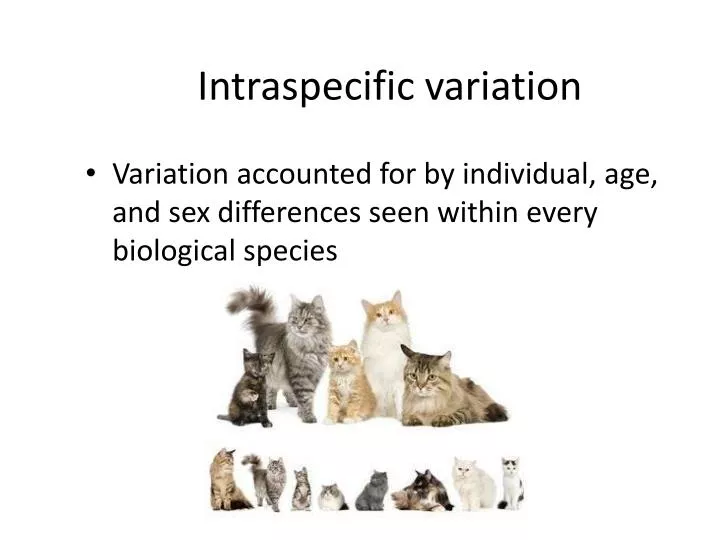 intraspecific variation