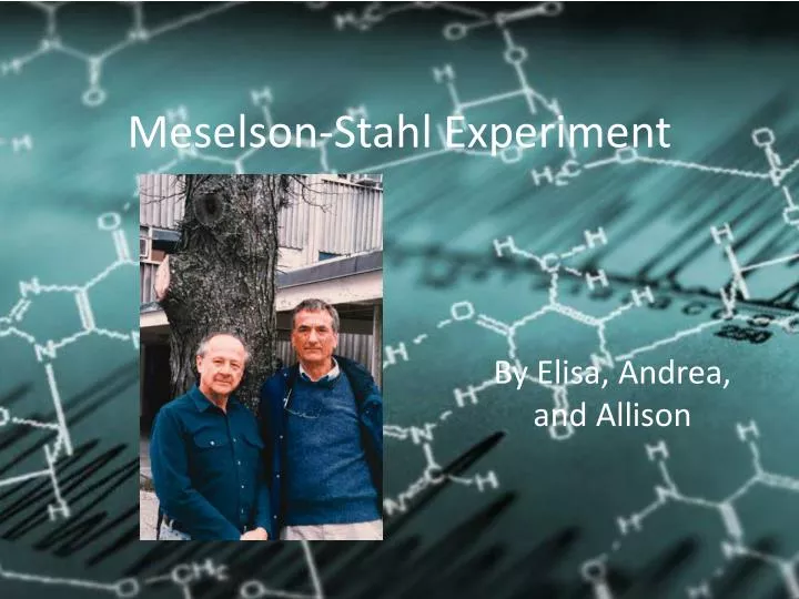 meselson stahl experiment