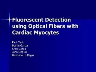 Fluorescent Detection using Optical Fibers with Cardiac Myocytes