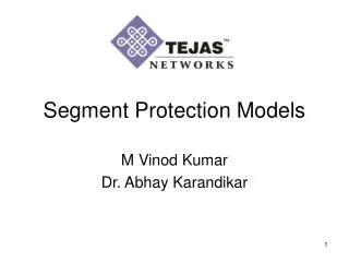 Segment Protection Models