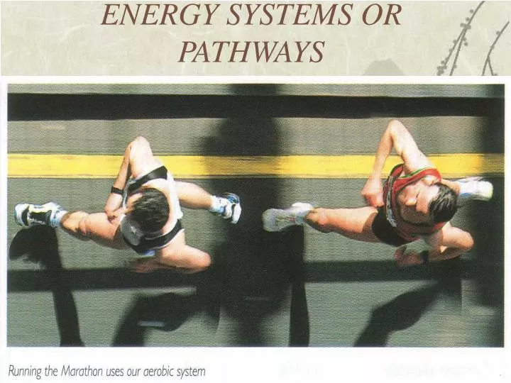 energy systems or pathways