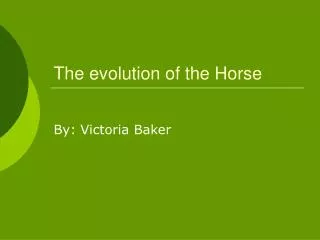 The evolution of the Horse