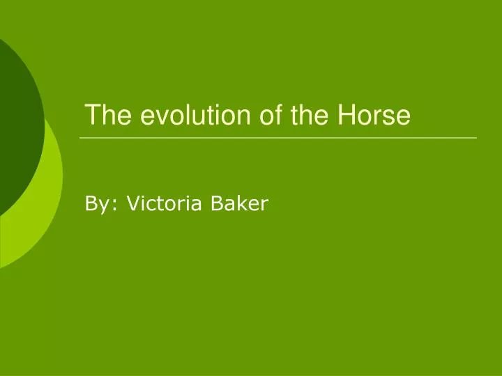 the evolution of the horse