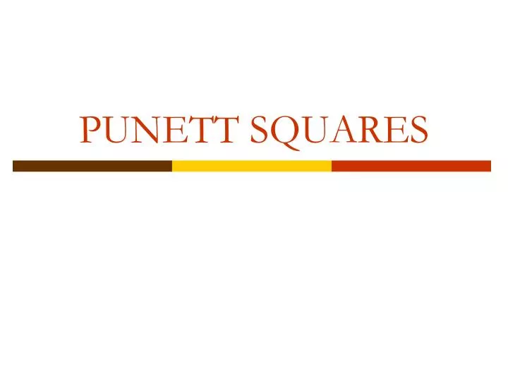 punett squares