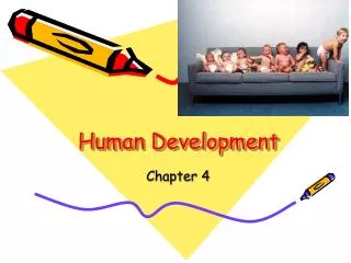 human development
