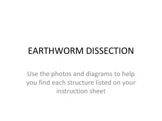 EARTHWORM DISSECTION