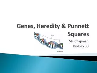 Genes, Heredity &amp; Punnett Squares