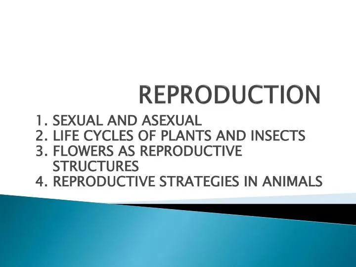 reproduction