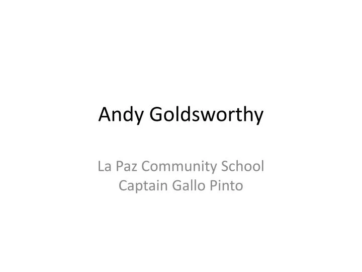 andy goldsworthy