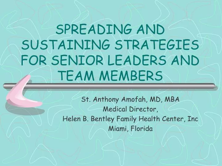 spreading and sustaining strategies for senior leaders and team members