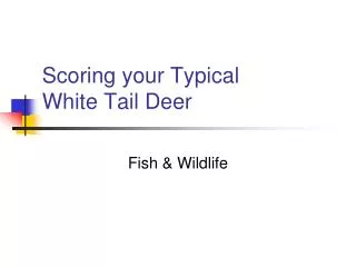 Scoring your Typical White Tail Deer