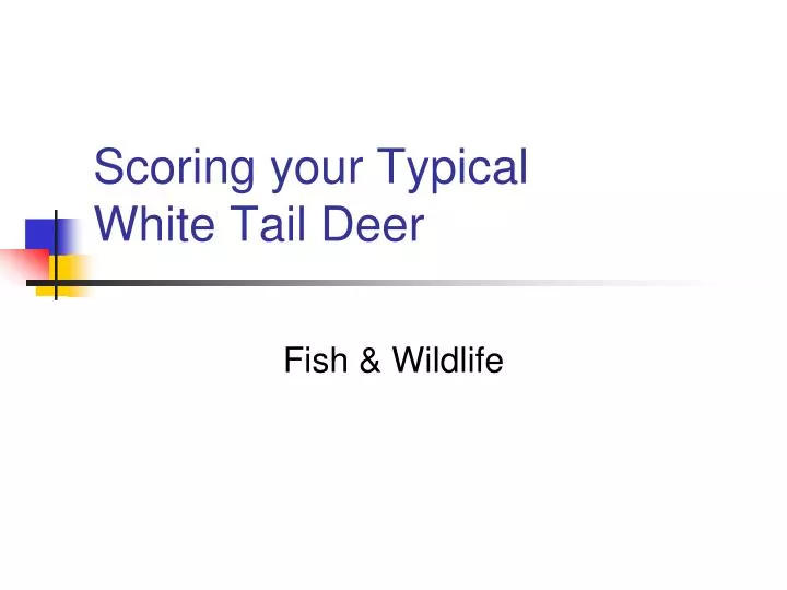 scoring your typical white tail deer