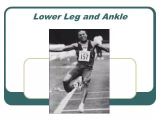 Lower Leg and Ankle