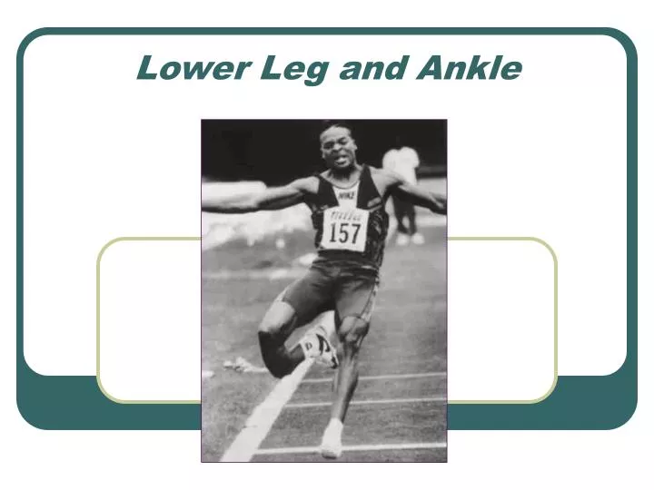 lower leg and ankle