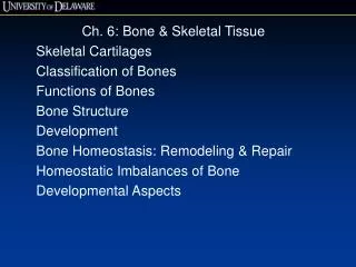 Ch. 6: Bone &amp; Skeletal Tissue Skeletal Cartilages Classification of Bones Functions of Bones