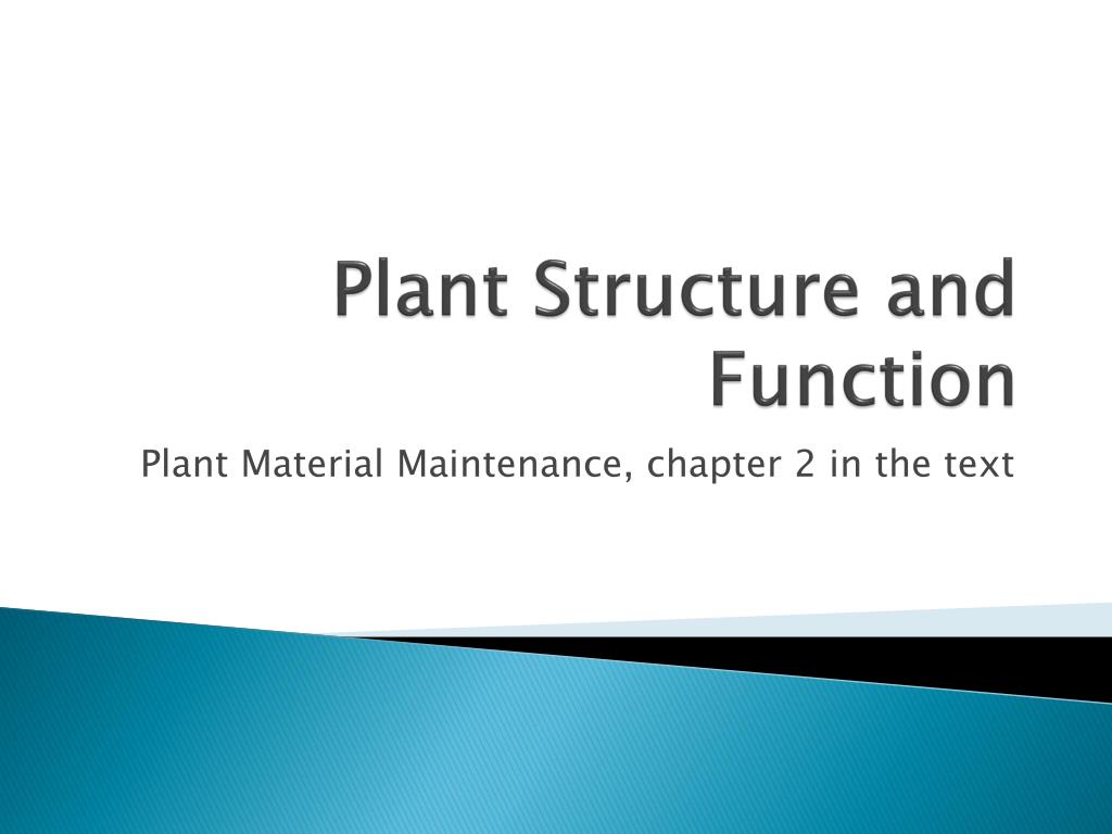 PPT - Plant Structure and Function PowerPoint Presentation, free ...